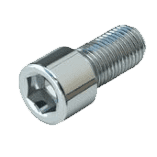 Stainless Steel 316/316H/316L Carriage Bolt Supplier in India