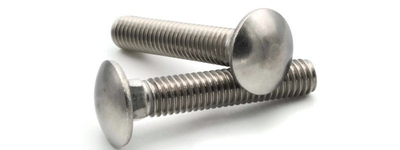 Carriage Bolt  Manufacturer in India 