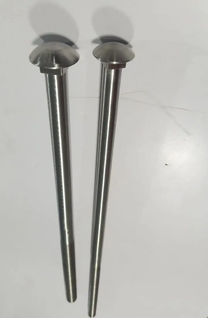 SS 316 carriage bolts